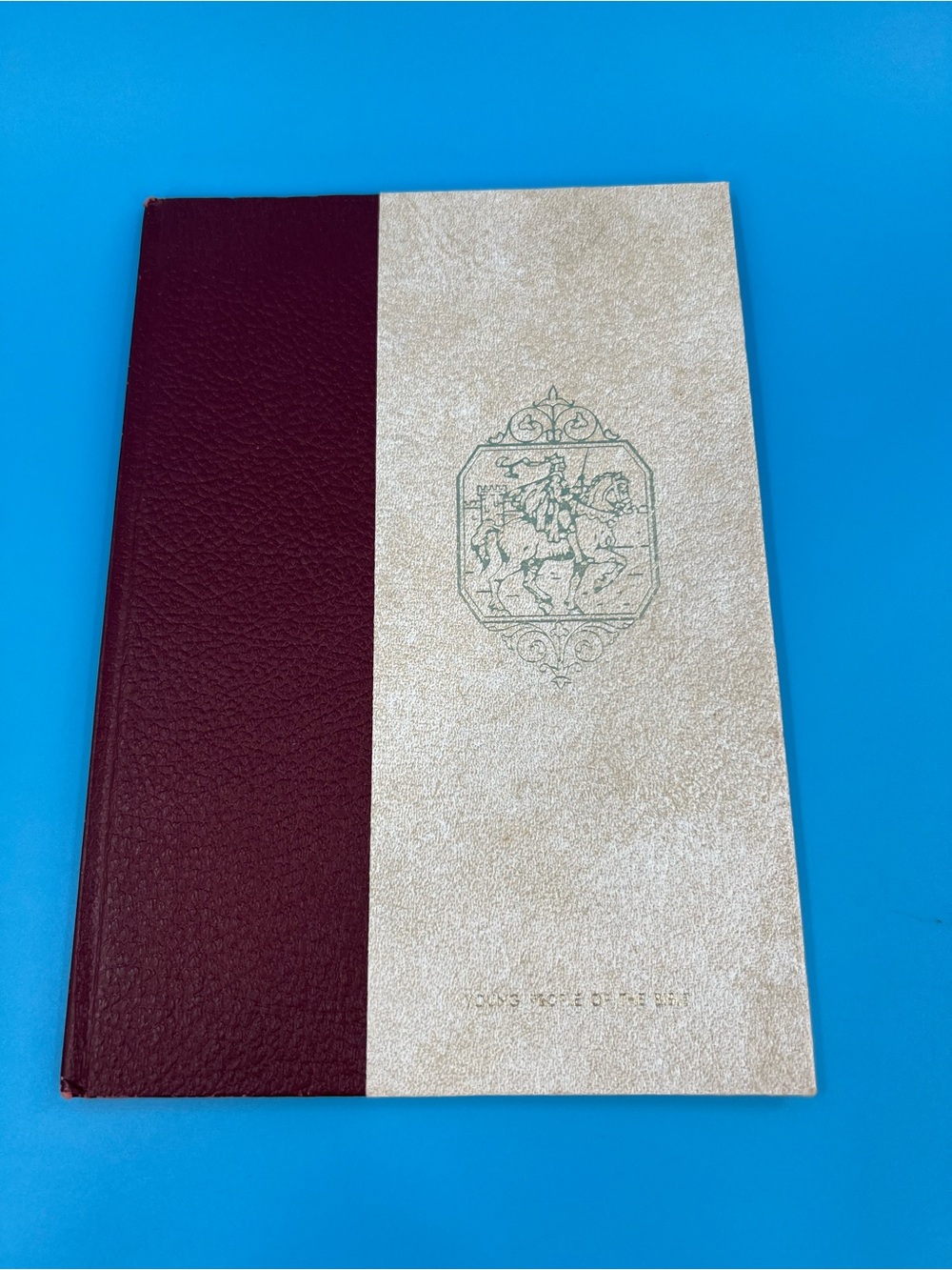 📚Vintage 1969 Young People of the Bible Hardcover Book Good Will Publishers
